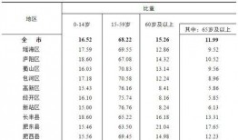 第四区在线观看,揭秘神秘区域的在线观看之旅